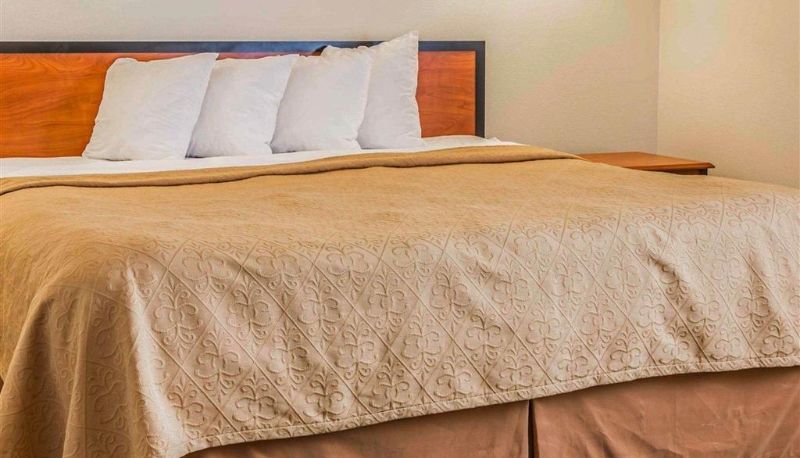 Kamer - Quality Inn Durand I-69