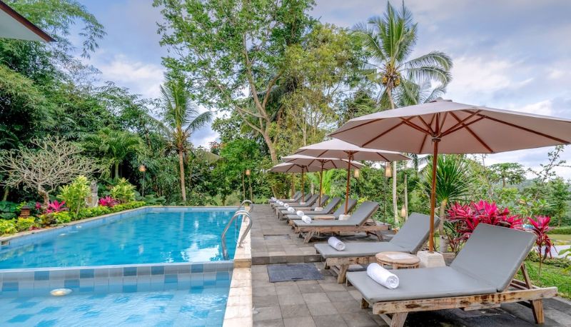 Pool - Ubud Ashoka Tree Resort at Tanggayuda