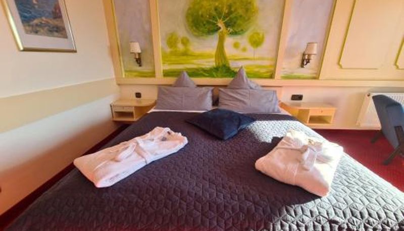 Kamer - Hotel Birkenmoor Wellnesshotel
