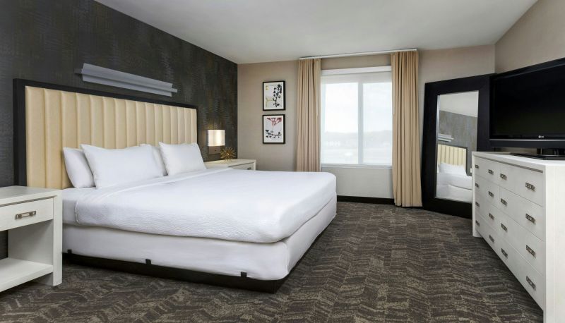 Kamer - SpringHill Suites by Marriott Sioux Falls