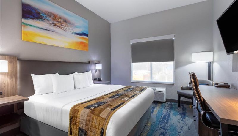 Zimmer - La Quinta Inn & Suites by Wyndham Tampa Central