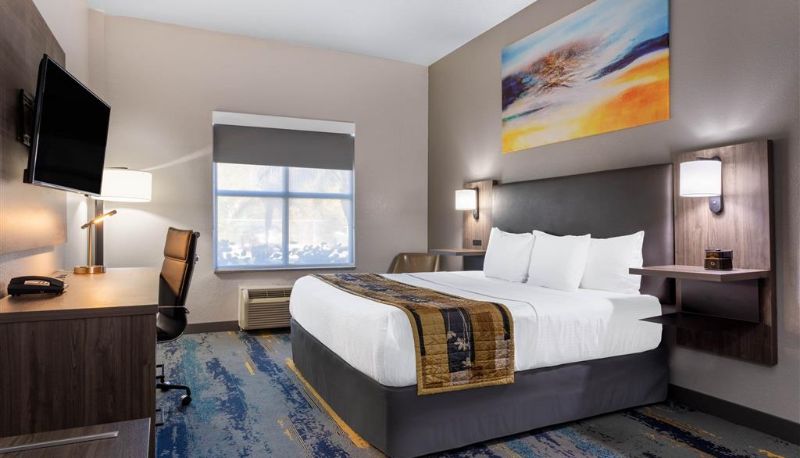Zimmer - La Quinta Inn & Suites by Wyndham Tampa Central