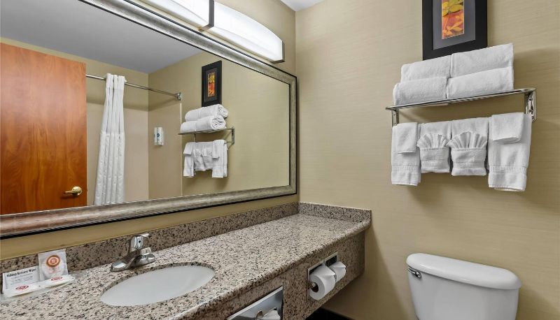 Camera - Comfort Suites Denver Tech Center