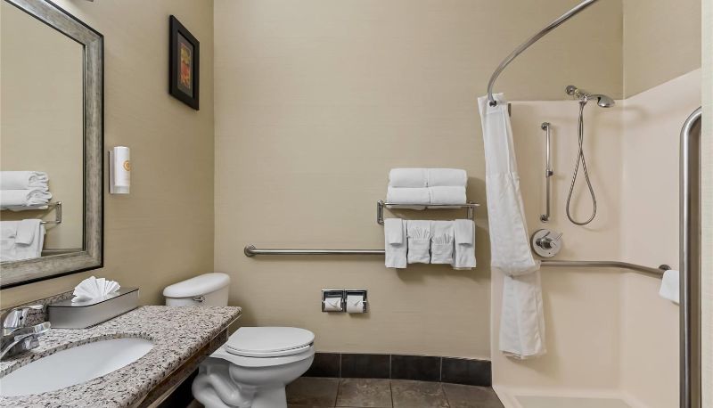 Camera - Comfort Suites Denver Tech Center