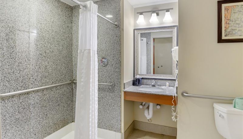 Zimmer - Comfort Suites At Virginia Center Commons