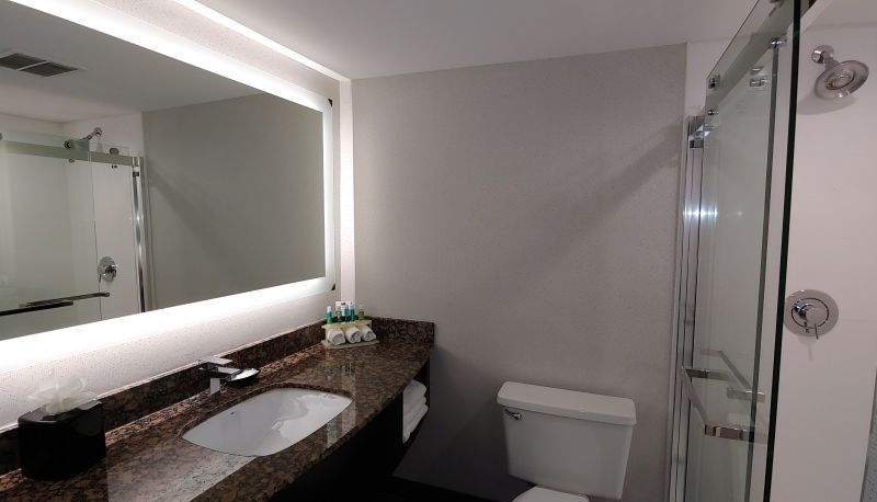 客室 - Holiday Inn Express ROLLING MDWS-SCHAUMBURG AREA by IHG