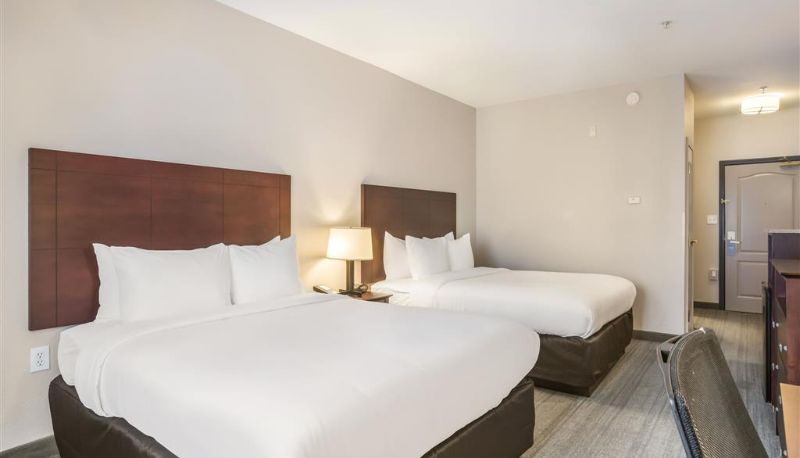 Kamer - Comfort Inn & Suites Fairburn - Atlanta Southwest