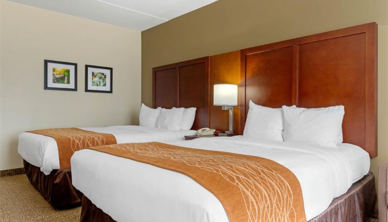 Habitación - Comfort Inn & Suites Cordele