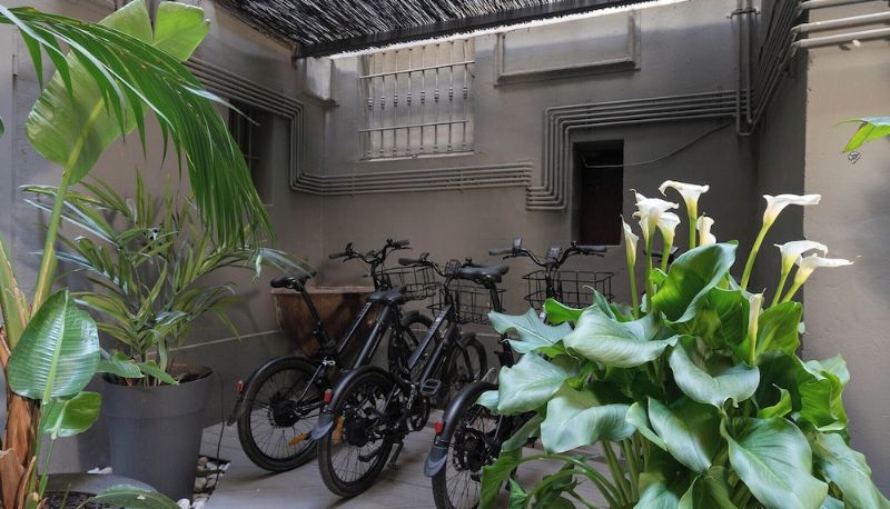 Garten - chic&basic Born Boutique Hotel Boutique Hotel