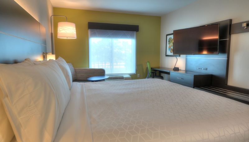 Daire - Holiday Inn Express & Suites MOBILE/SARALAND by IHG