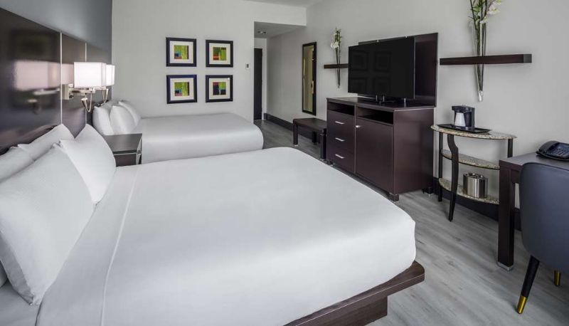 Zimmer - DoubleTree by Hilton Sarasota Bradenton Airport
