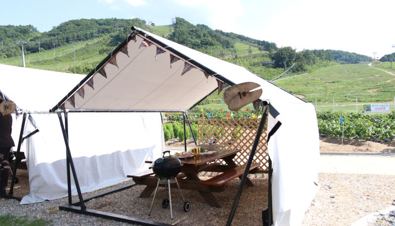 Restaurant - Holiday Inn & Suites ALPENSIA PYEONGCHANG by IHG