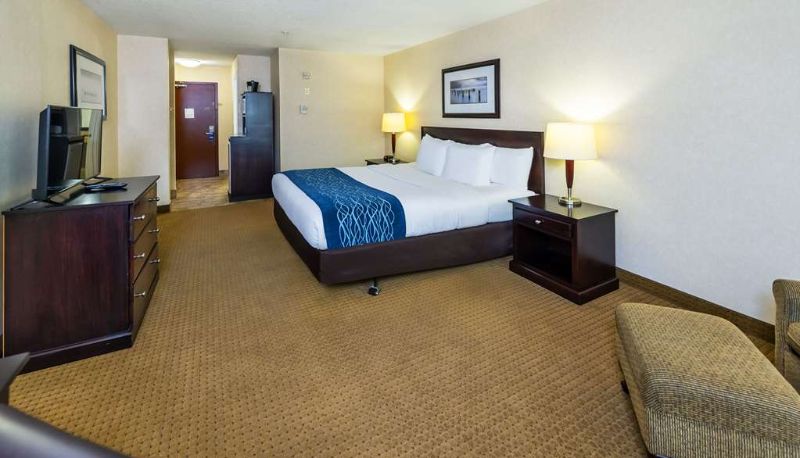 Zimmer - Comfort Inn and Suites