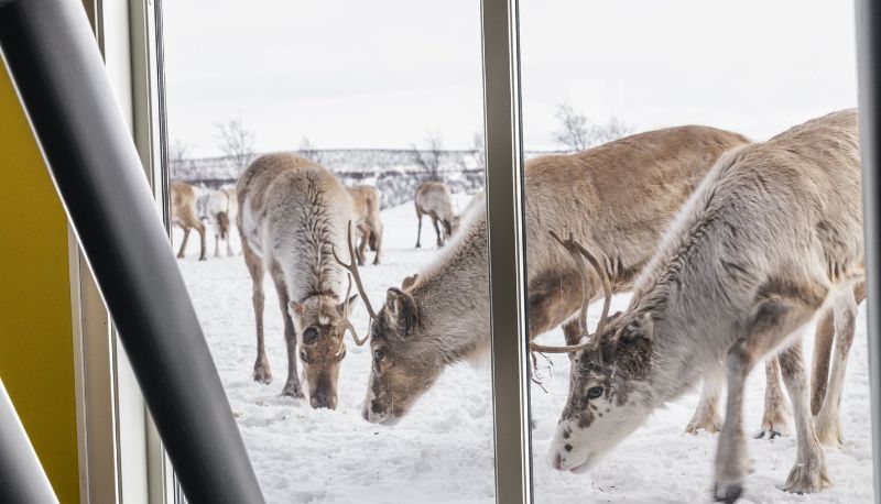 Area benessere e fitness - Thon Hotel Kautokeino