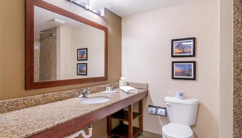 Camera - Comfort Suites Brunswick