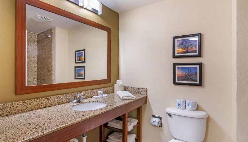 Camera - Comfort Suites Brunswick