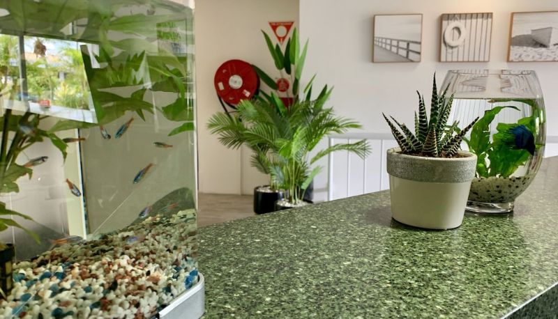 Reception - Outrigger Burleigh