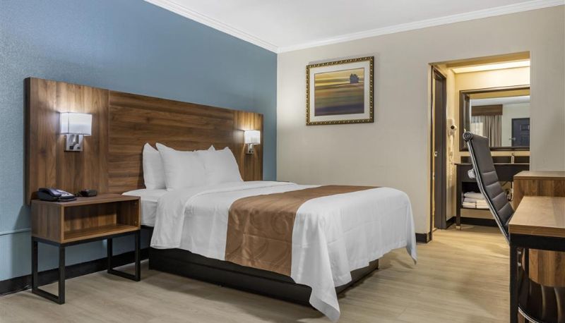 Zimmer - Quality Inn & Suites Ft. Jackson Maingate