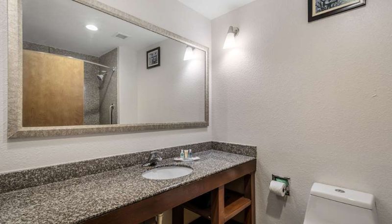 Kamer - Comfort Suites Macon Northwest