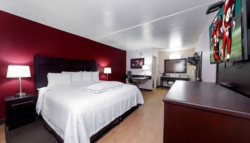 Room - Red Roof PLUS+ Huntsville - Madison