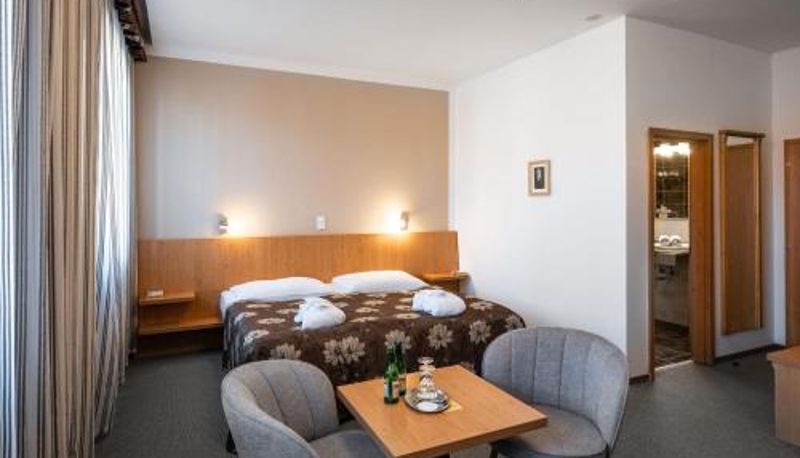 スタンダードルーム - Hotel Galant Mikulov