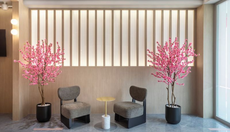 Receção - Hotel Sakura by Venue - Newly Renovated