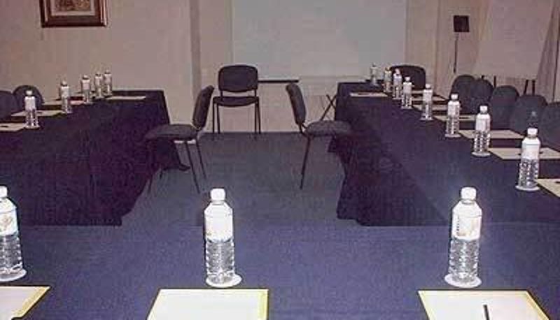 Salle de conférence - Hotel Trueba