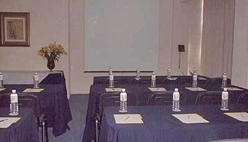 Salle de conférence - Hotel Trueba