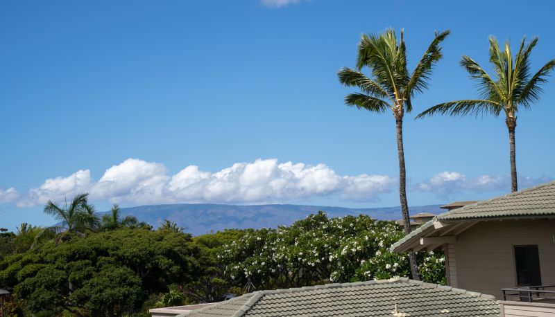 Info - The Kapalua Villas Maui