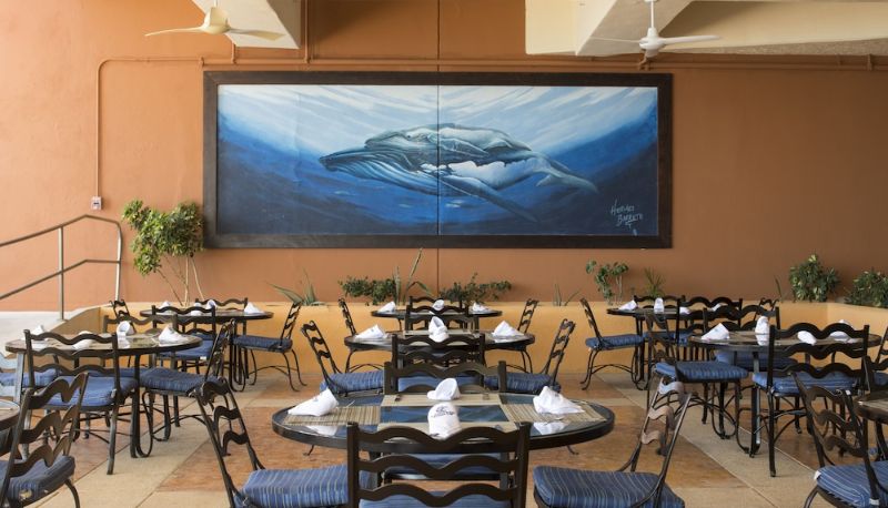 Restoran - Club Regina Los Cabos managed by Accor