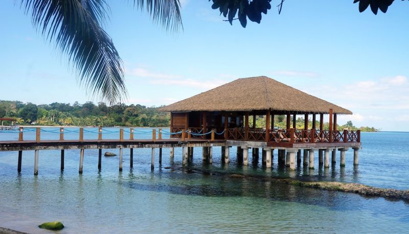 レストラン - Playa Tortuga Hotel Beach And Resort