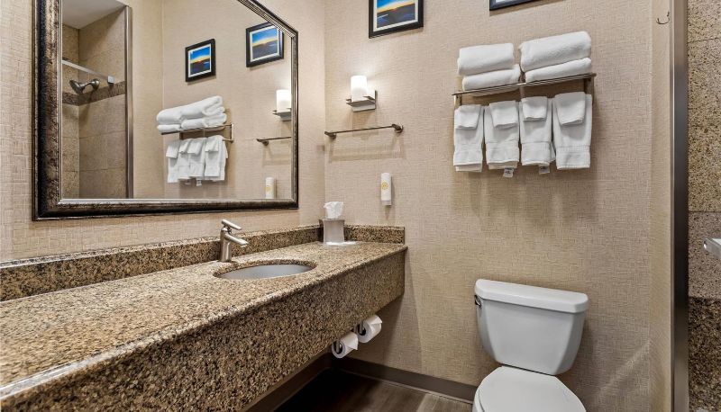 Zimmer - Comfort Suites Roswell North
