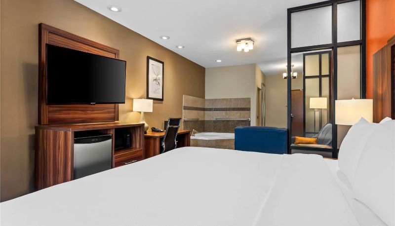 Zimmer - Comfort Suites Roswell North
