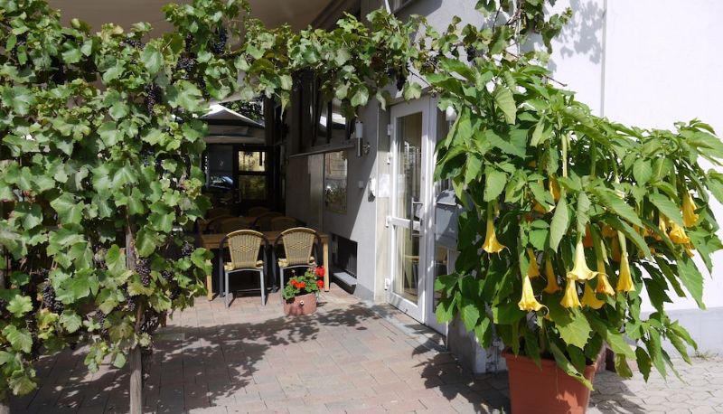 テラス - Hotel Pinger Rhineland-Holiday