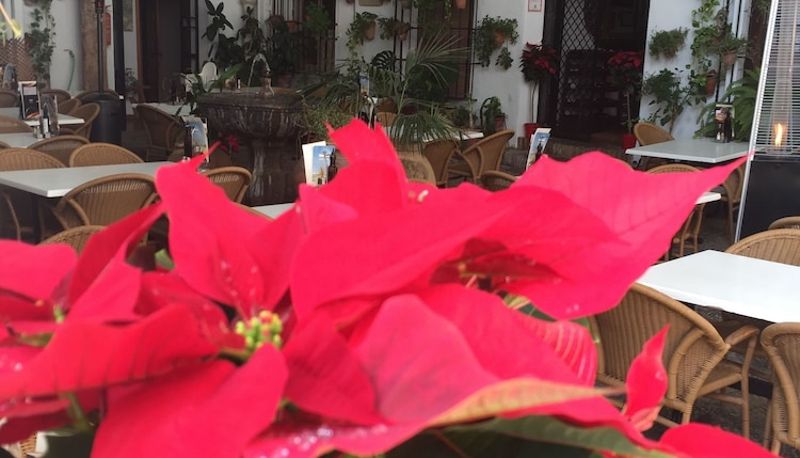 Terraza - Los Patios Hotel
