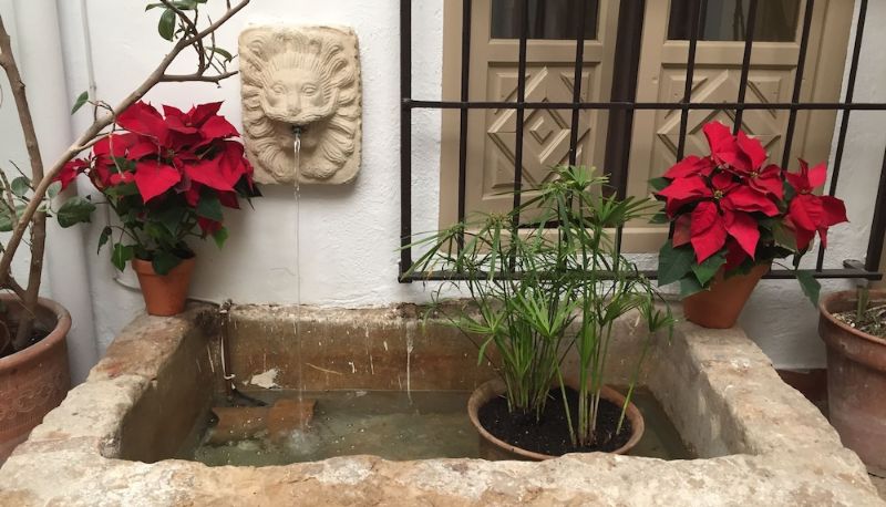 Terraza - Los Patios Hotel