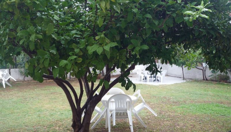 Jardín - Pinus Otel