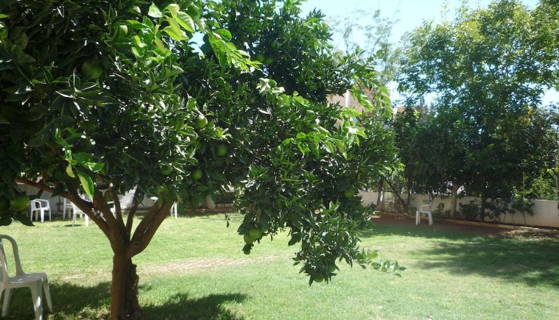 Jardín - Pinus Otel