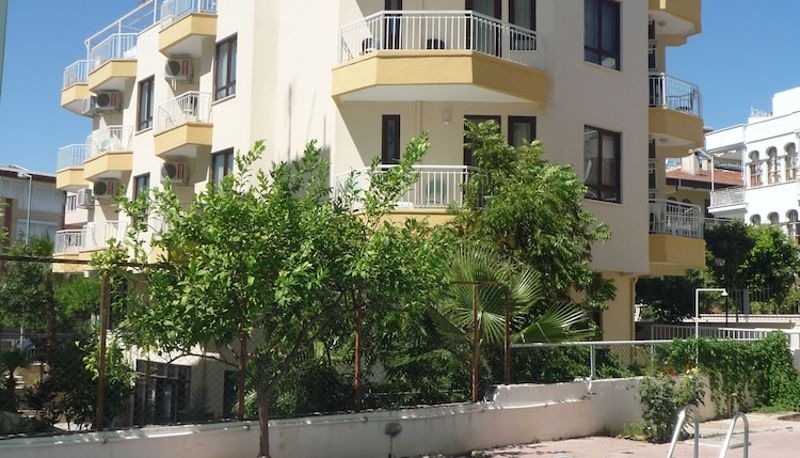Piscina - Pinus Otel