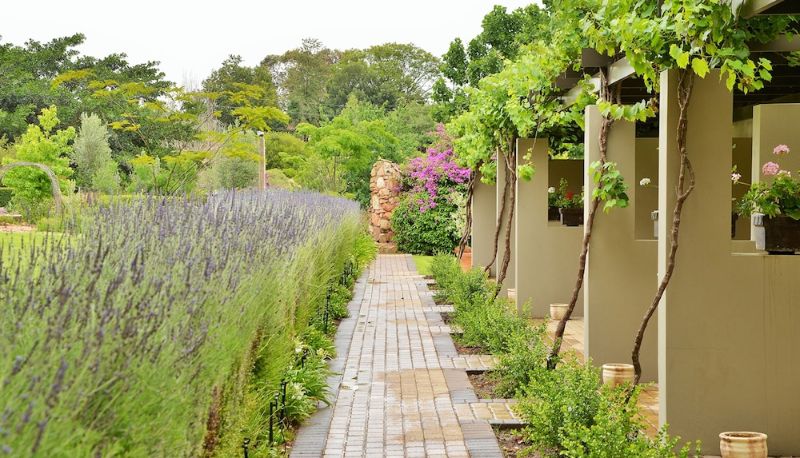 Suite - Piekenierskloof Mountain Resort by Dream Resorts