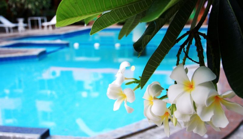 Pool - Seashore Pattaya Resort