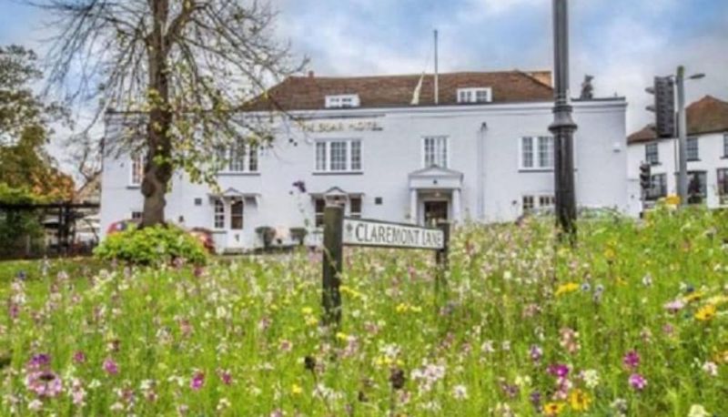 Info - The Bear Hotel