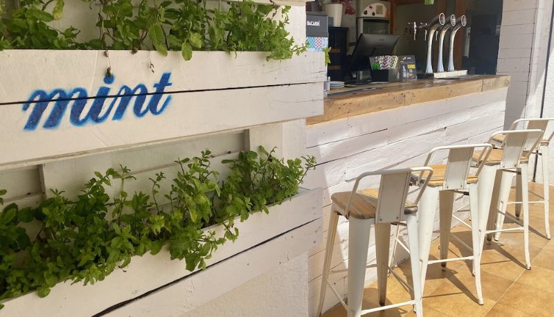 Bar - Hotel Nereida