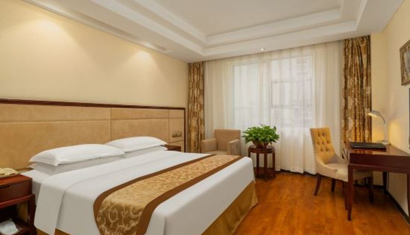 Camera - Halcyon Hotel & Resort