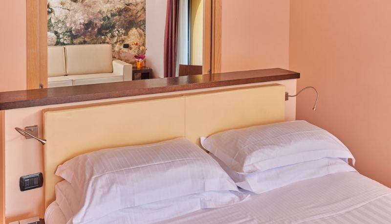 Camera standard - Hotel Europa