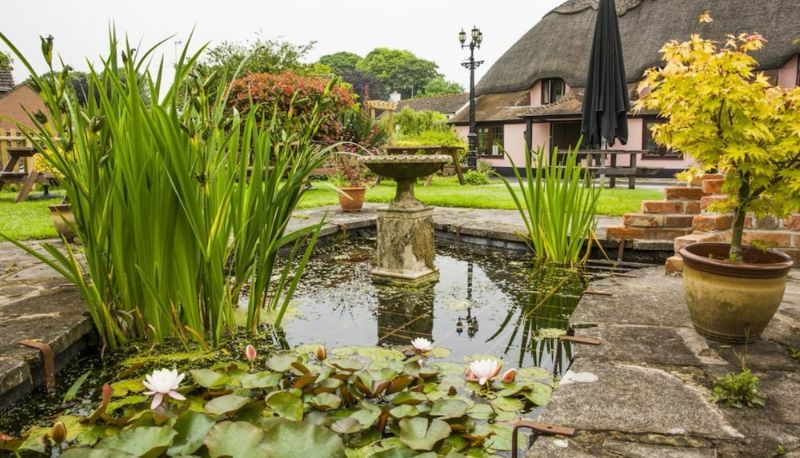 Jardin - The Anvil Inn