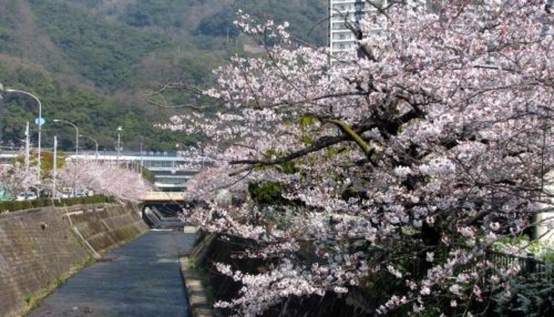 Bilgi - Hotel Isago Kobe