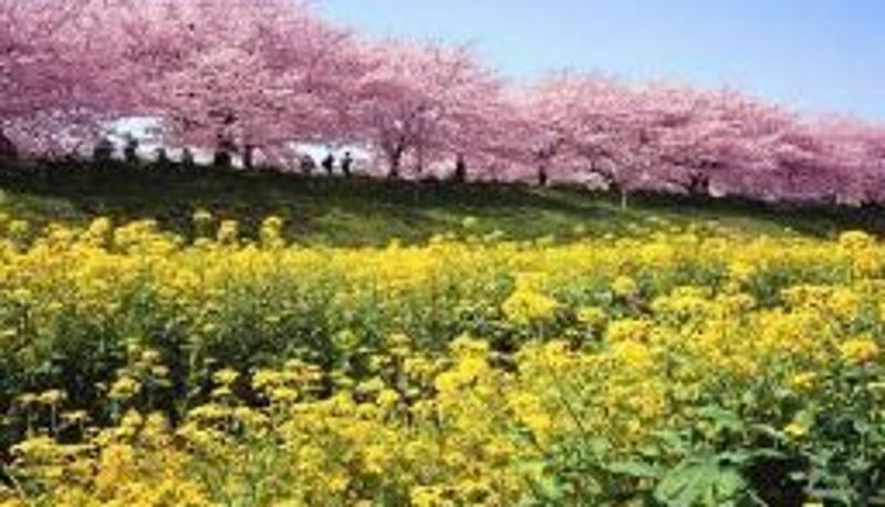 ホール - Solaria Nishitetsu Hotel Kagoshima