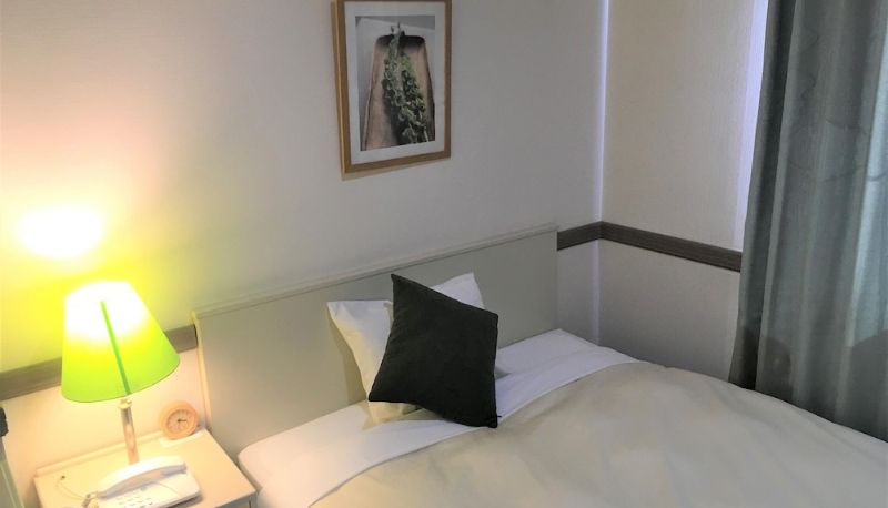 Info - Matsumoto Wellton Hotel
