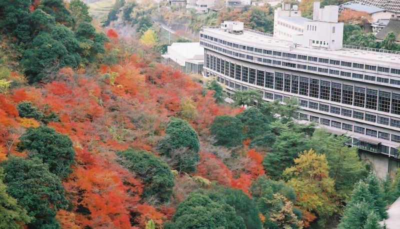 Bilgi - Okudogo Ichiyunomori
